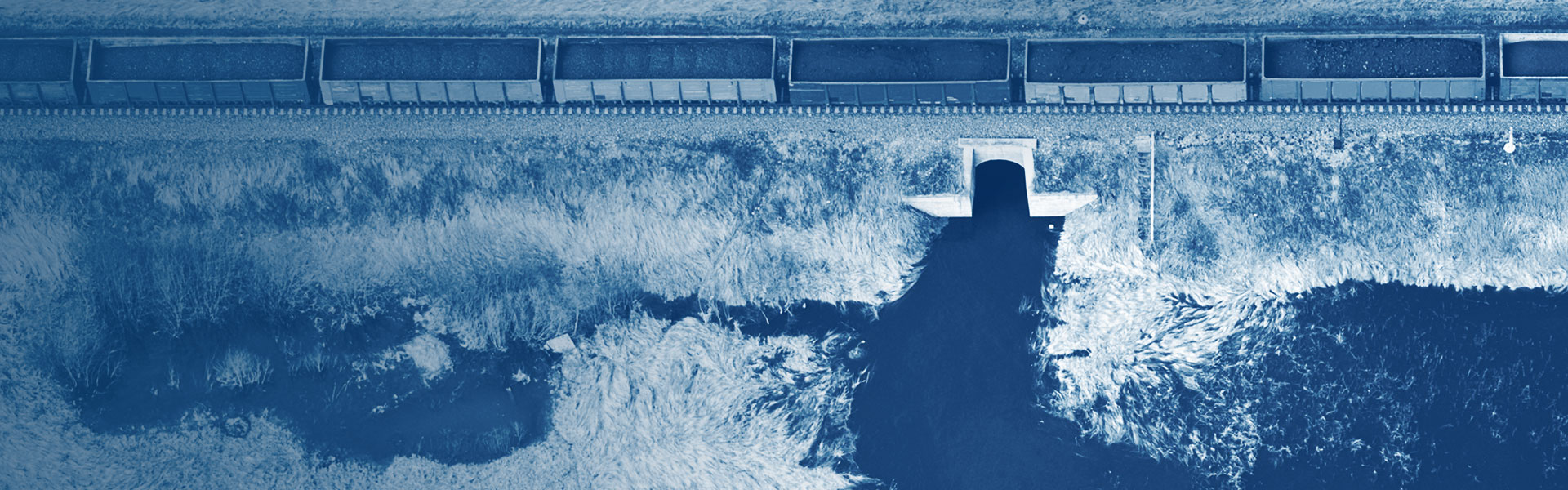 This is the image alt